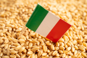 how to learn Italian